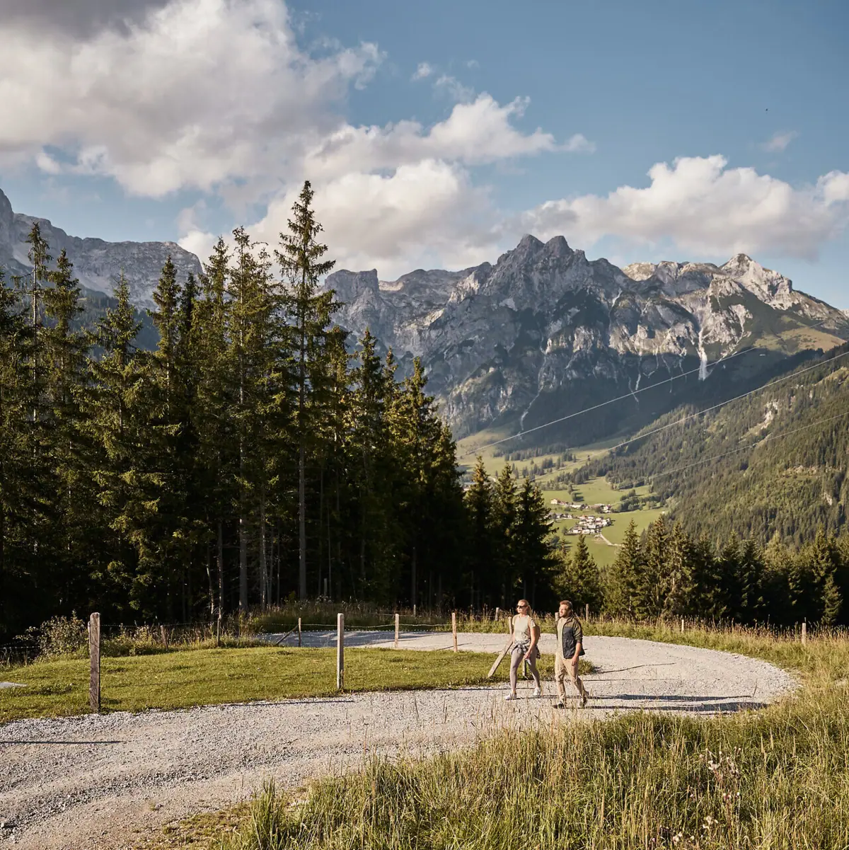 Menschen gehen auf einem Kiesweg mit Bäumen und Bergen im Hintergrund.