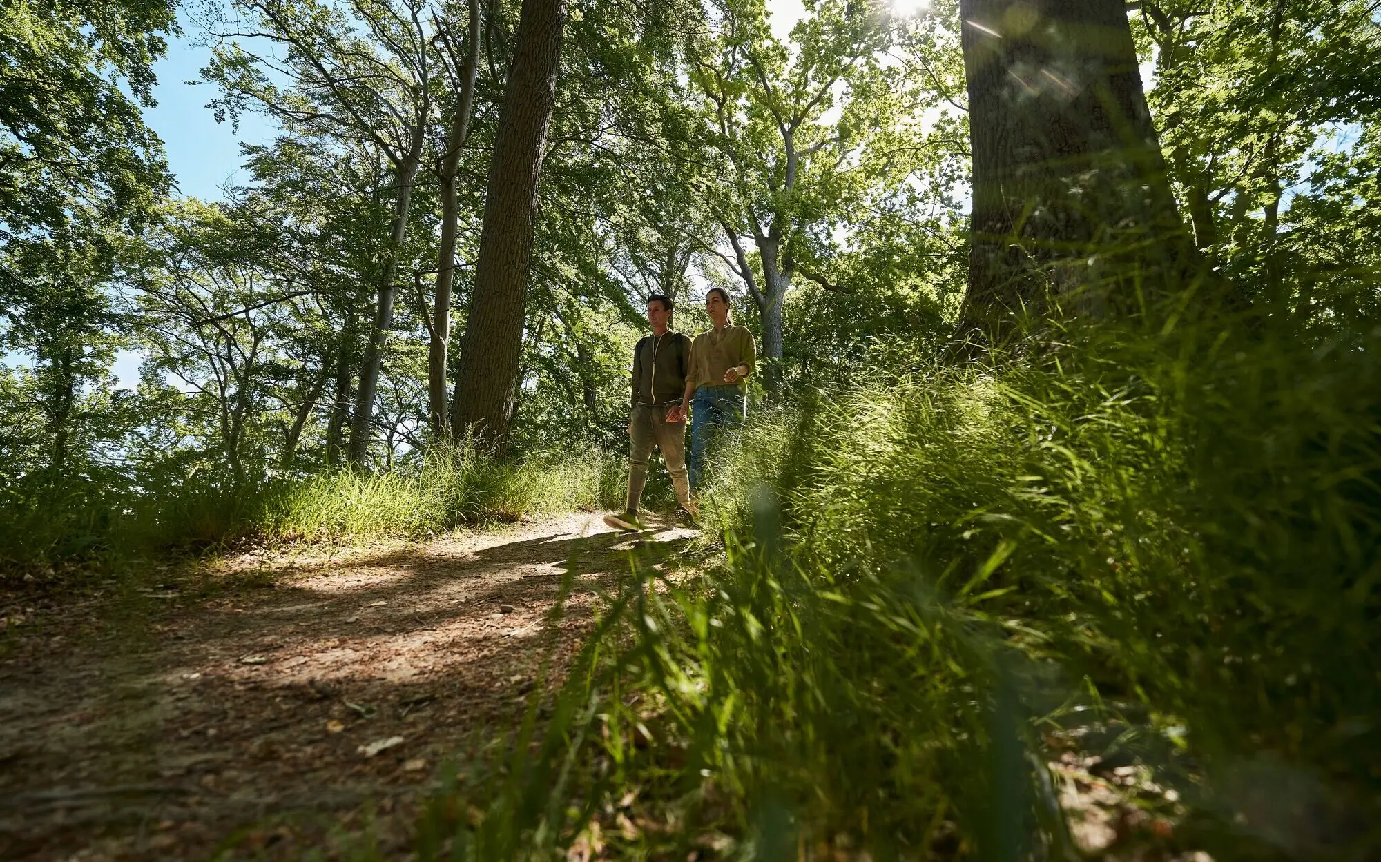Wald in Göhren Ein Mann und eine Frau gehen im Wald spazieren.