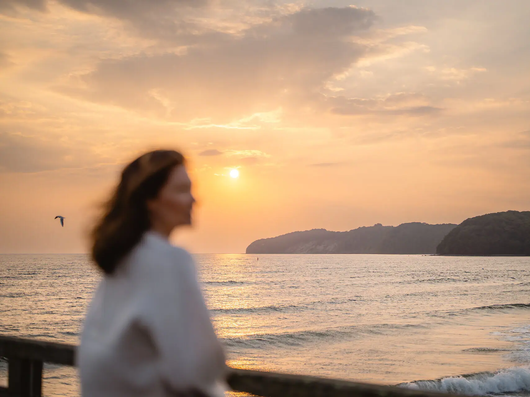 Ein Gewässer mit Gebäuden und Bäumen im Hintergrund.