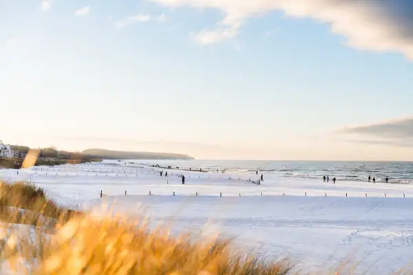 Schneebedeckter Strand mit Menschen und Bäumen im Freien.