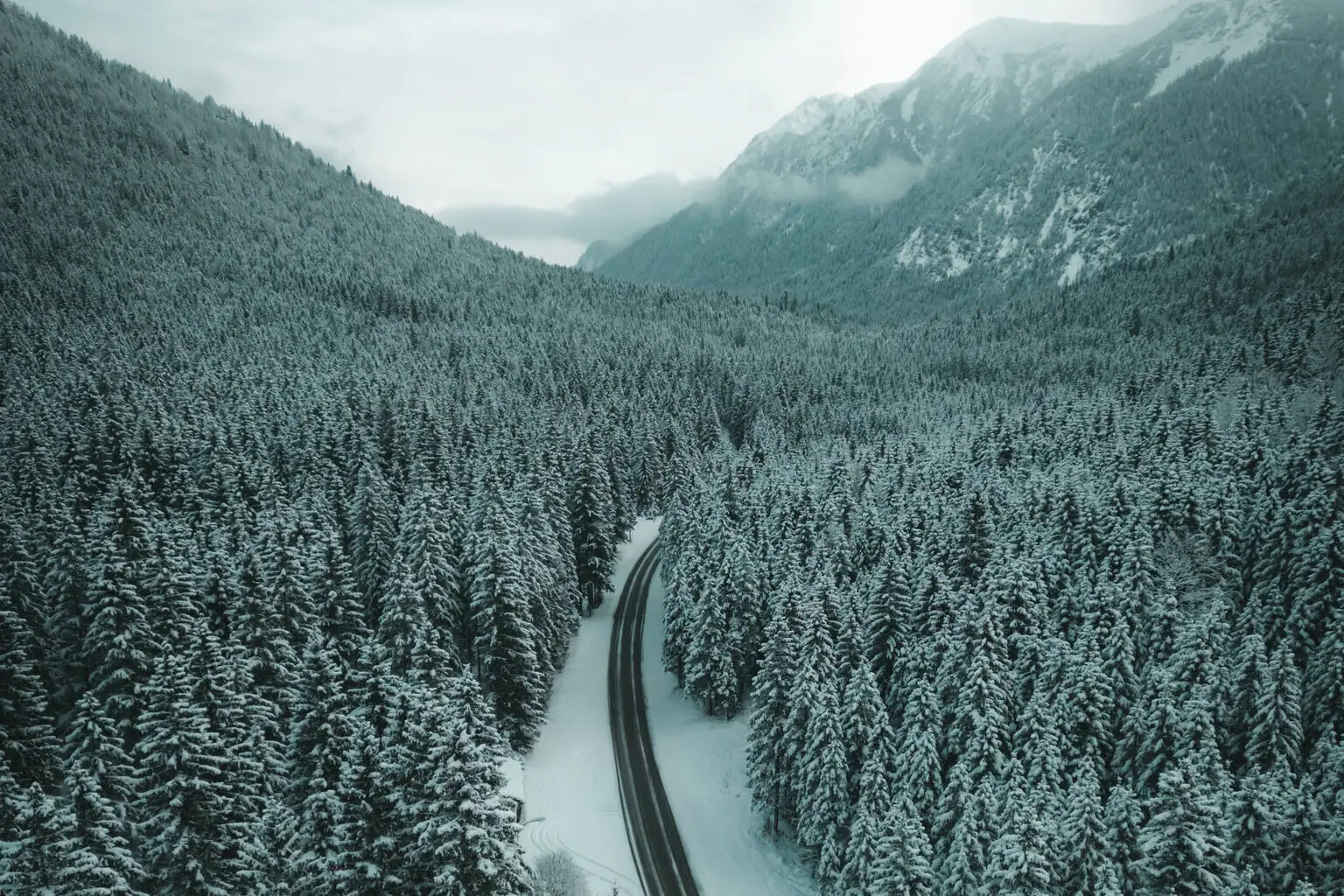 Anreise Auto Verschneite Landschaft mit einer Straße und Bäumen.