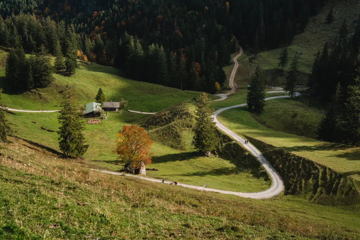 Radweg in Ruhpolding Eine kurvige Straße in einer grasbewachsenen Gegend mit Bäumen und einem Haus.