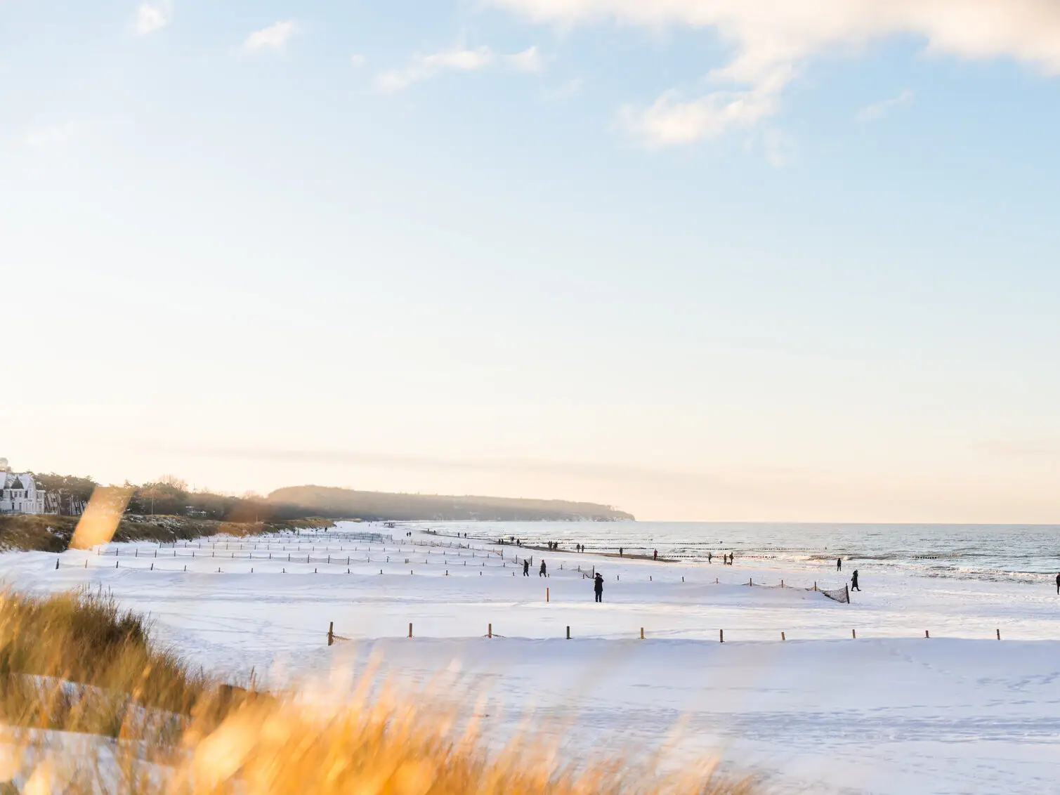 Verschneiter Strand mit Menschen und Bäumen.