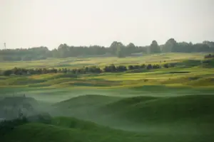 Grünes Feld mit Bäumen und blauem Himmel