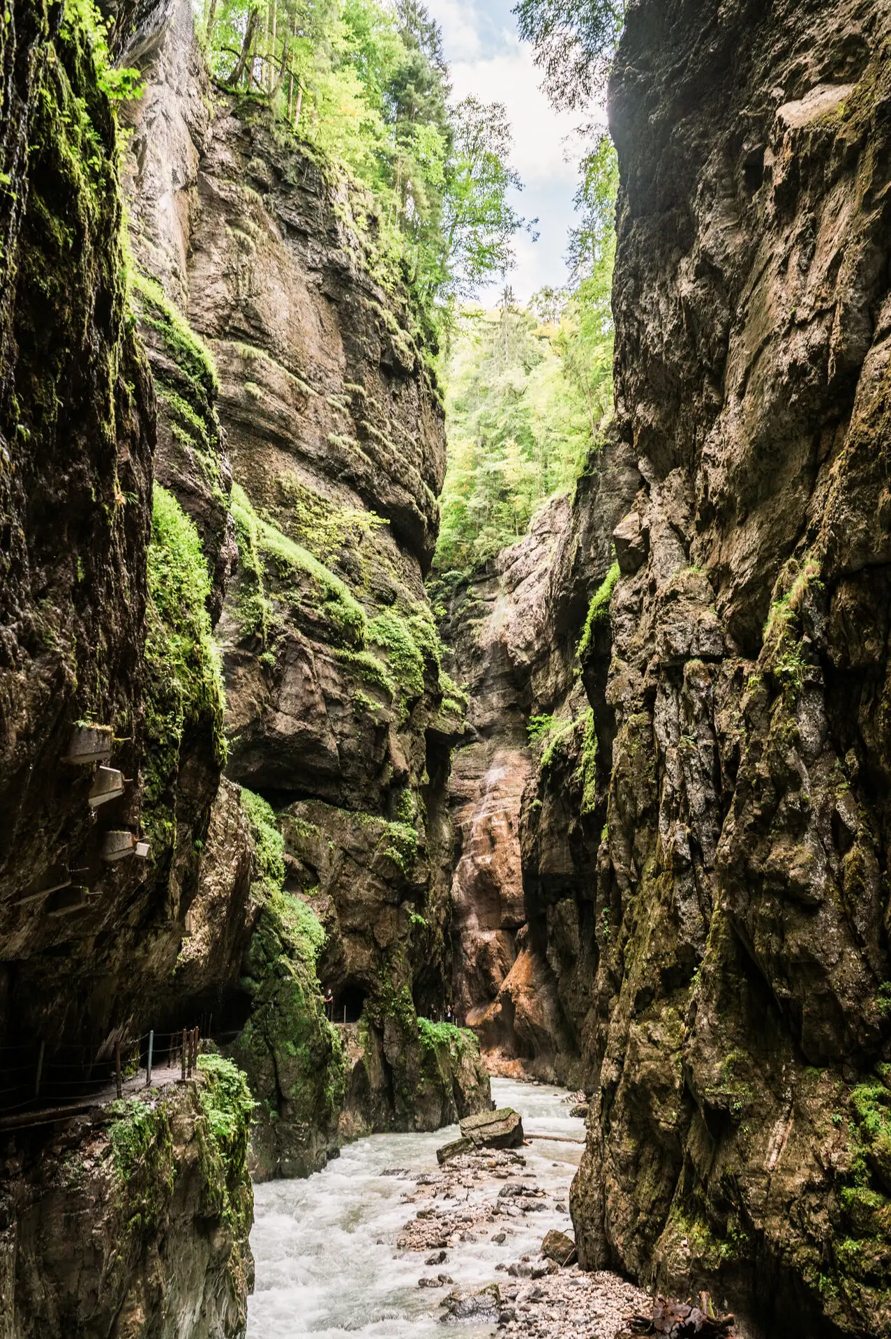 Partnachklamm mit felsigen Ufern in einer Schlucht, umgeben von Bäumen und Pflanzen.