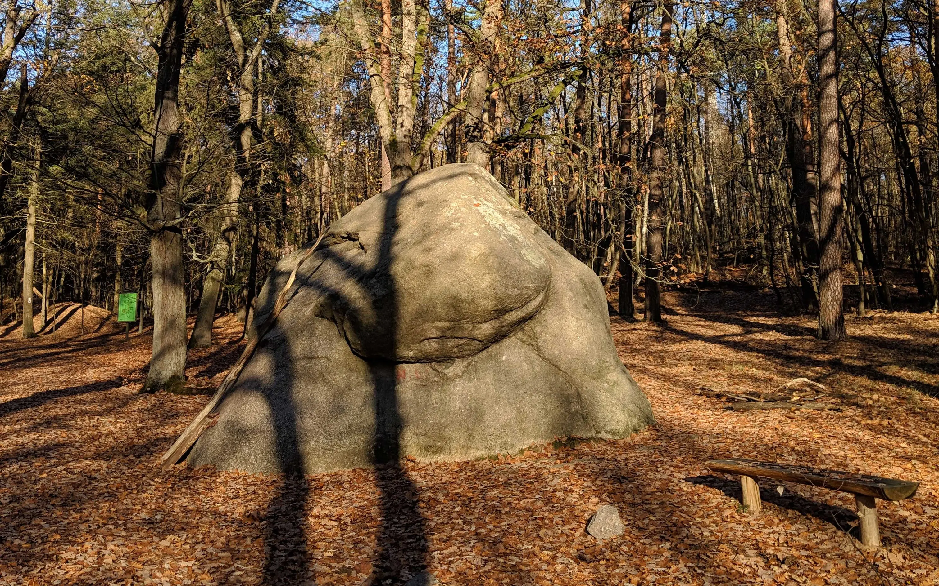 Ein großer Stein in einem Wald.