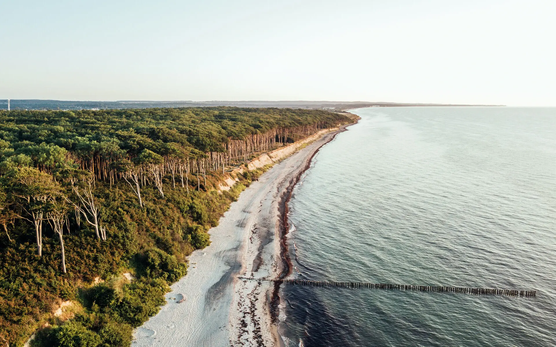 Die Ostsee in Warnemünde aus der Vogelperspektive mit einem Strand und Bäumen.