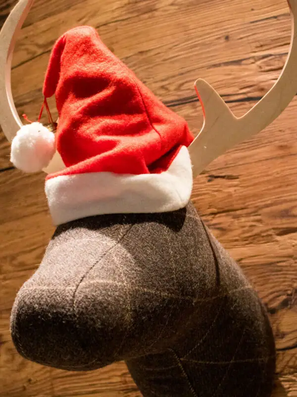 Ein ausgestopfter Elchkopf mit Weihnachtsmütze an der Wand.
