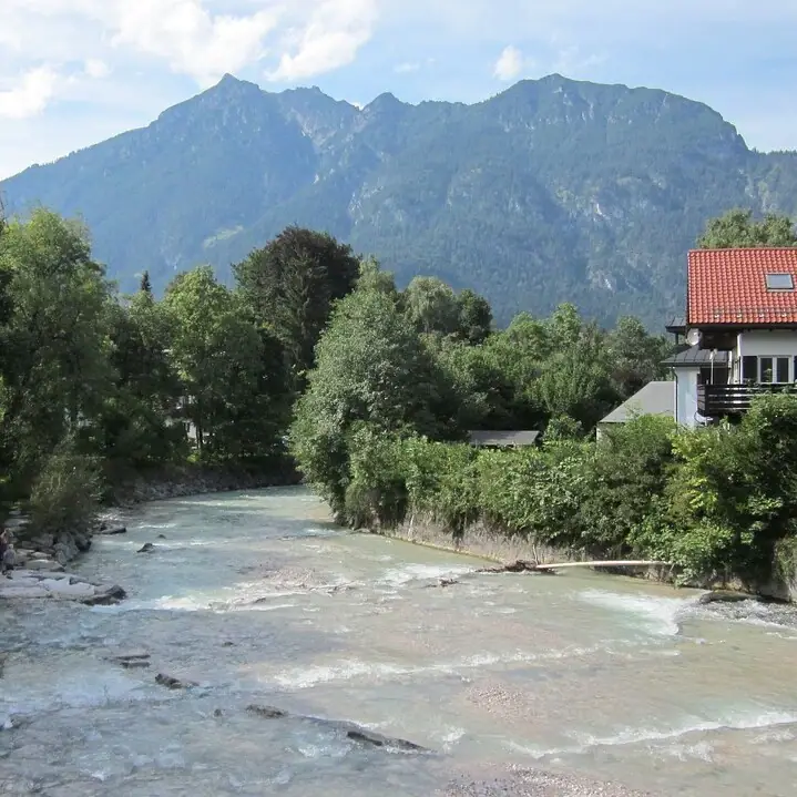 Ein Fluss fließt durch einen Wald.