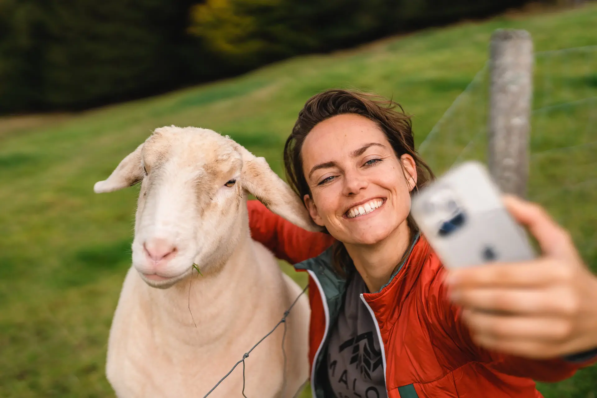 Frau macht draußen ein Selfie mit einem Schaf.