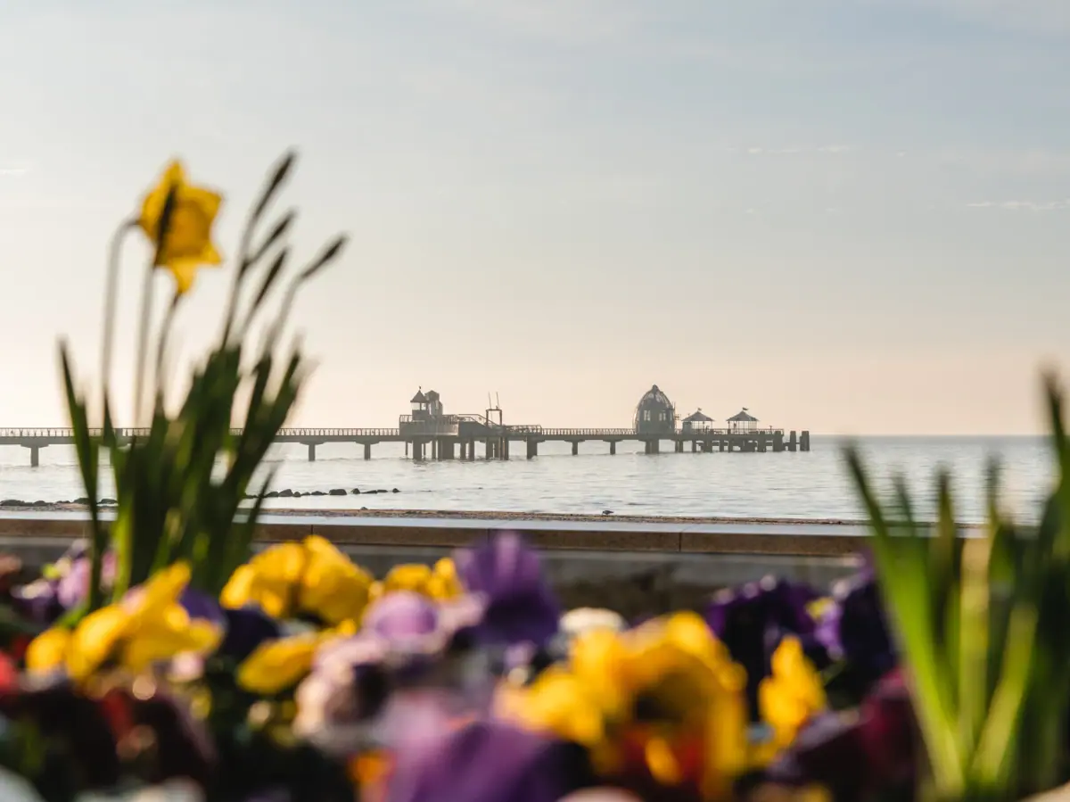 Ein Pier mit einer Brücke im Wasser unter freiem Himmel.