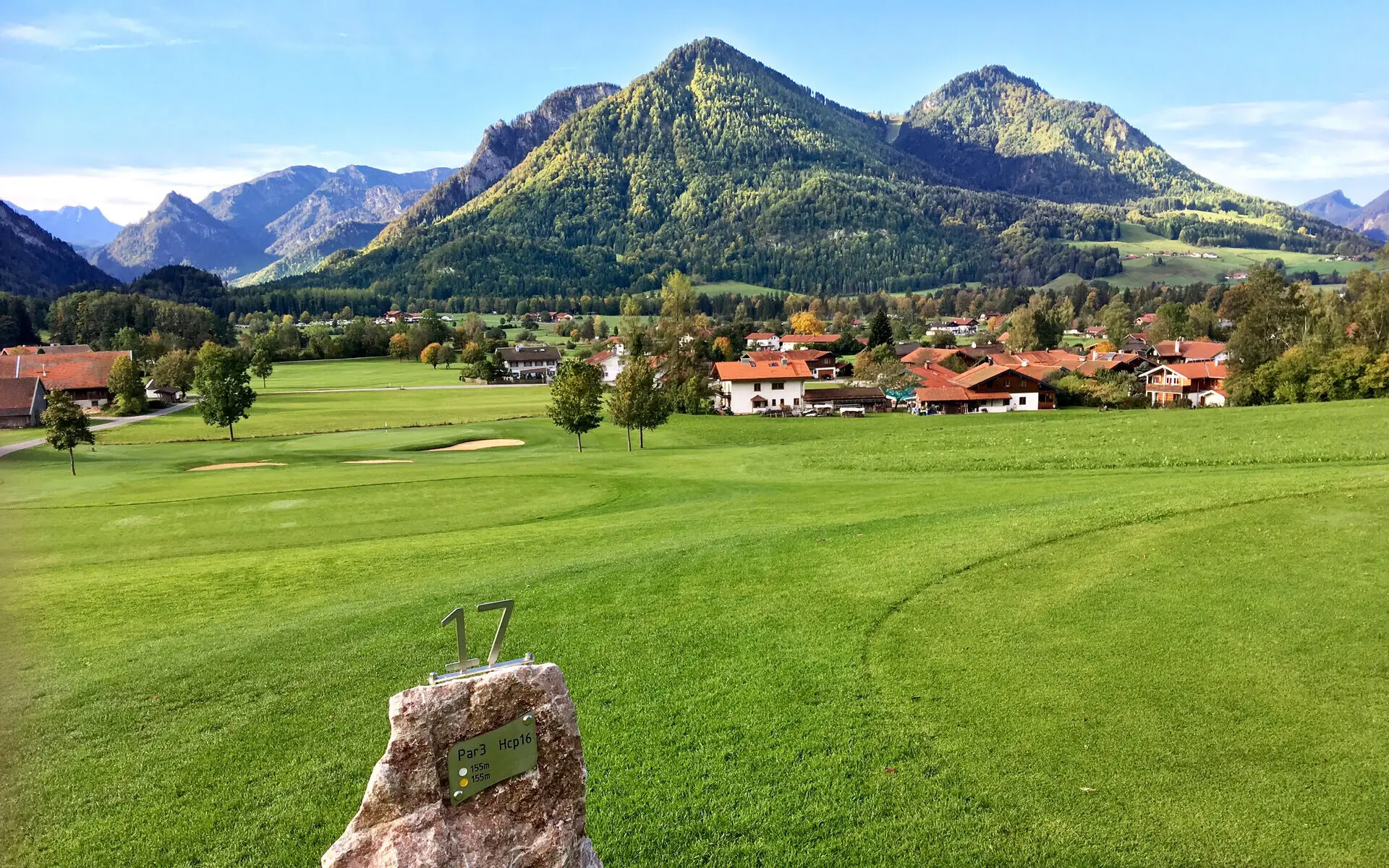 Eine grüne Wiese und im Hintergrund die Chiemgauer Alpen.