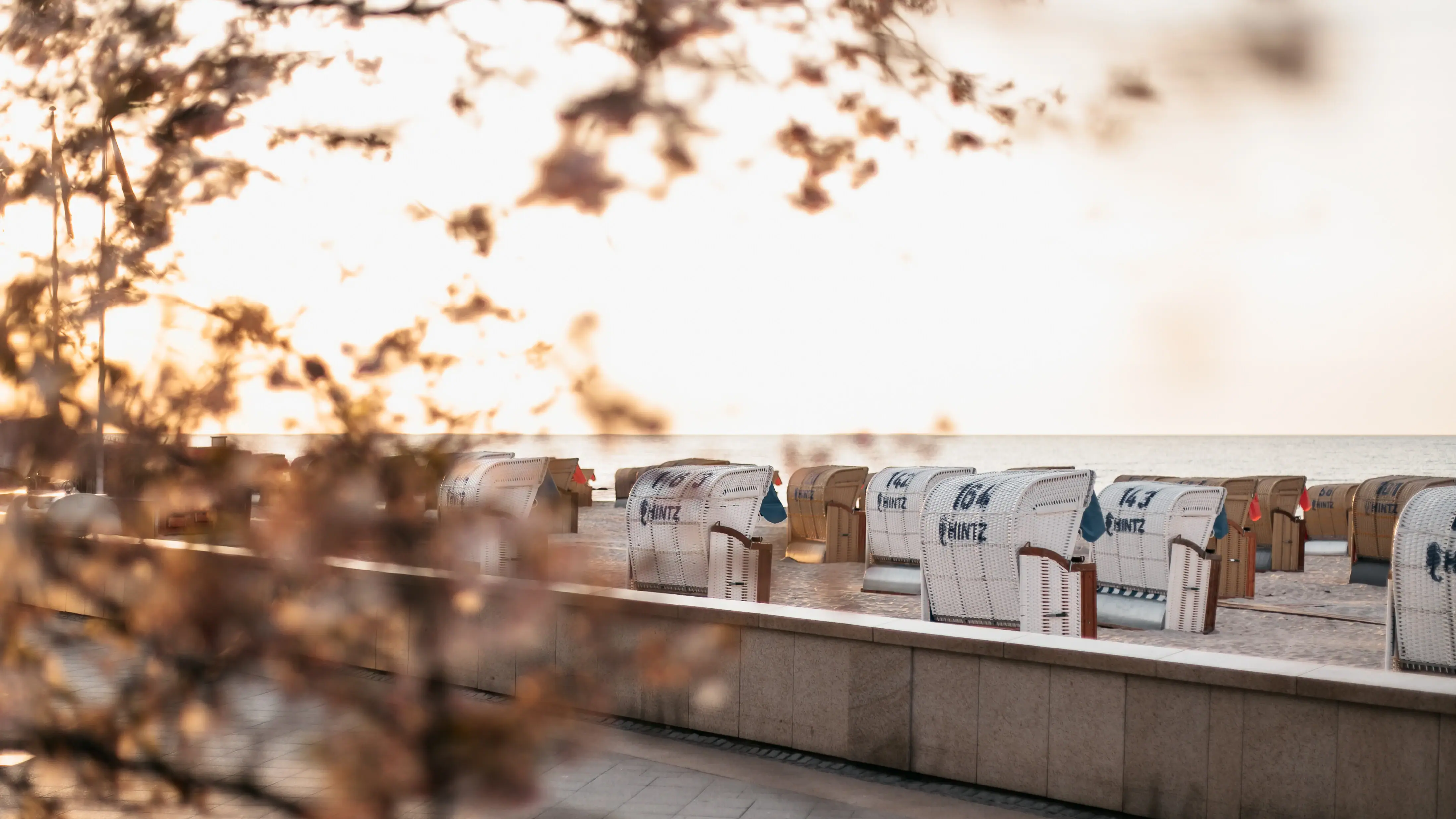 Grömitz Strand Eine Reihe weißer Strandkörbe mit blauer Schrift.