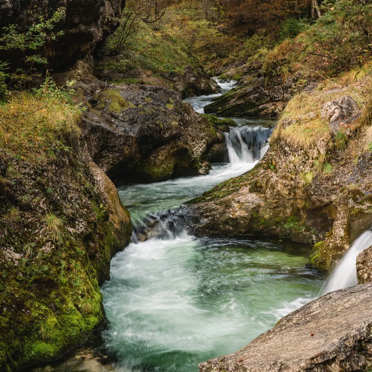 Ein Fluss, der durch die Weißbachschlucht fließt.