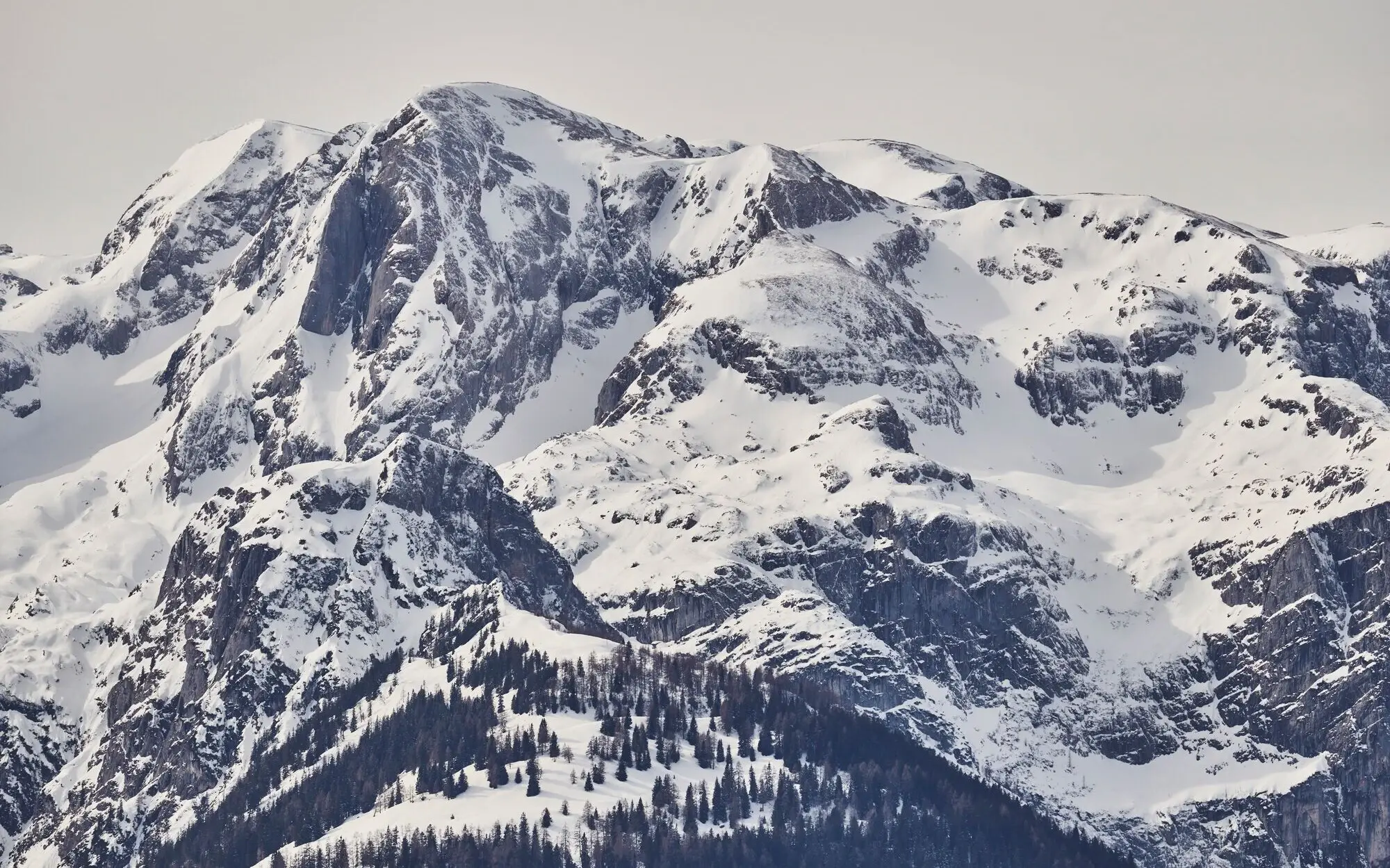 Schneebedeckter Berg mit Bäumen und einem klaren Himmel.