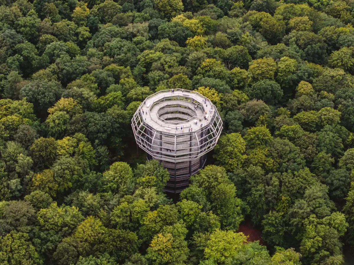 Ein Turm inmitten eines Waldes.