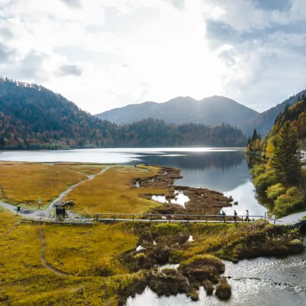 Ein See mit Gras und Bäumen im Hintergrund.
