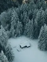 Hütte im Schnee umgeben von dicht stehenden Tannen und Fichten.