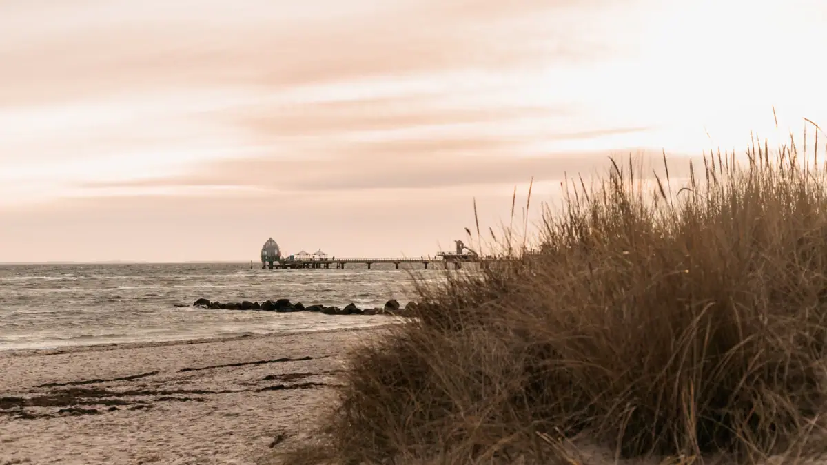 Strand mit einem Pier und Gras im Vordergrund.