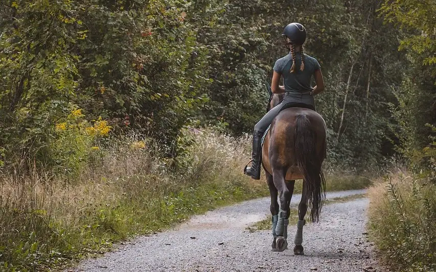 Eine Frau reitet auf einem Pferd entlang eines Pfades.