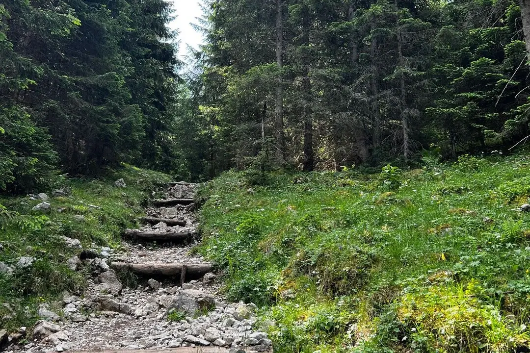 Laufen und Wandern Steinstufen führen zu einem grasbewachsenen Hügel mit Bäumen.