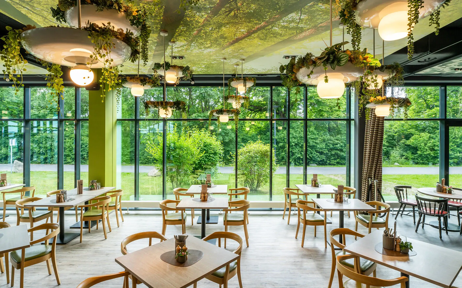 Restaurant Ein Raum mit Tischen und Stühlen, Pflanzen hängen von der Decke.