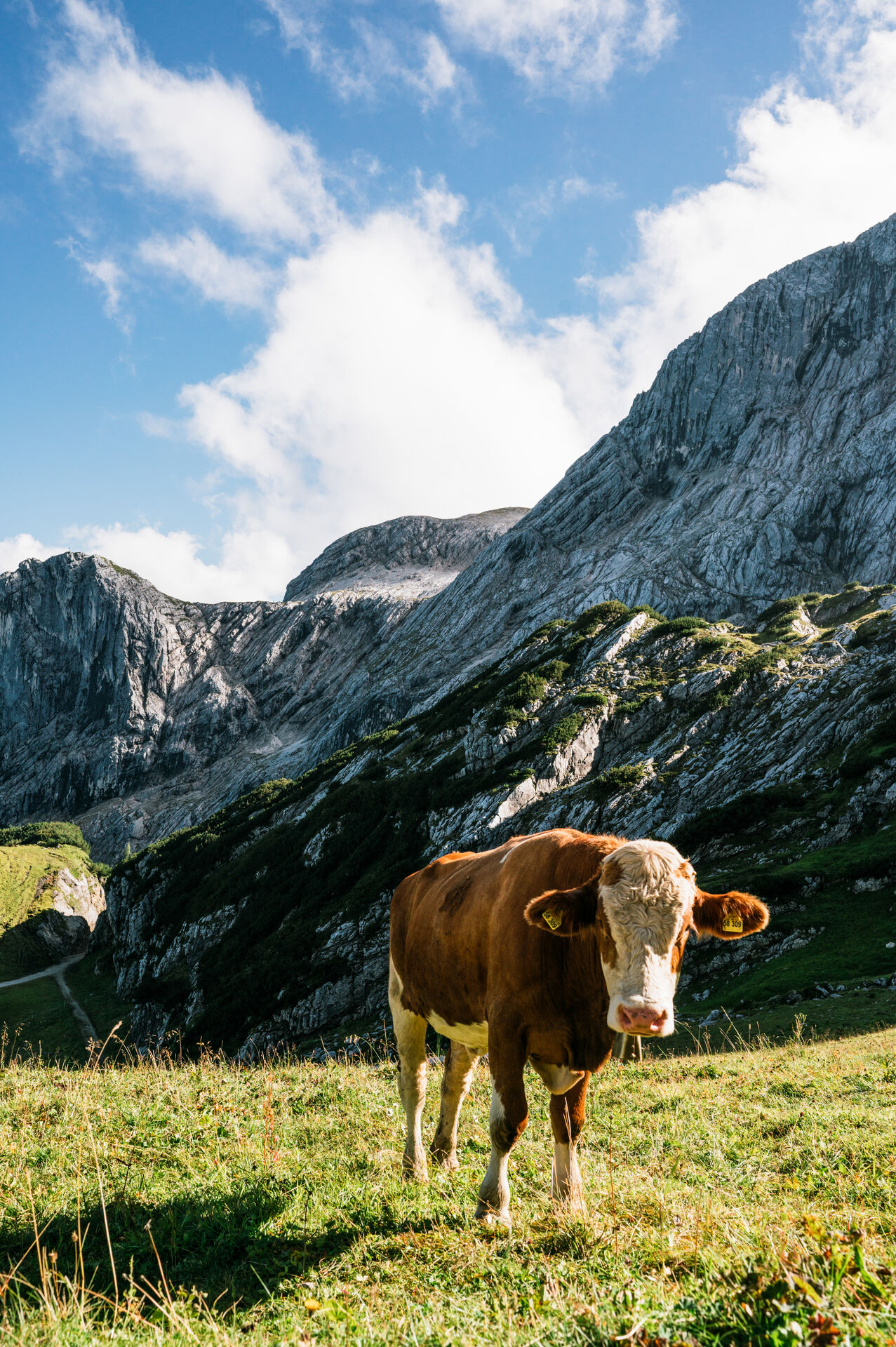 Garmisch-Partenkirchen Garmisch-Partenkirchen
