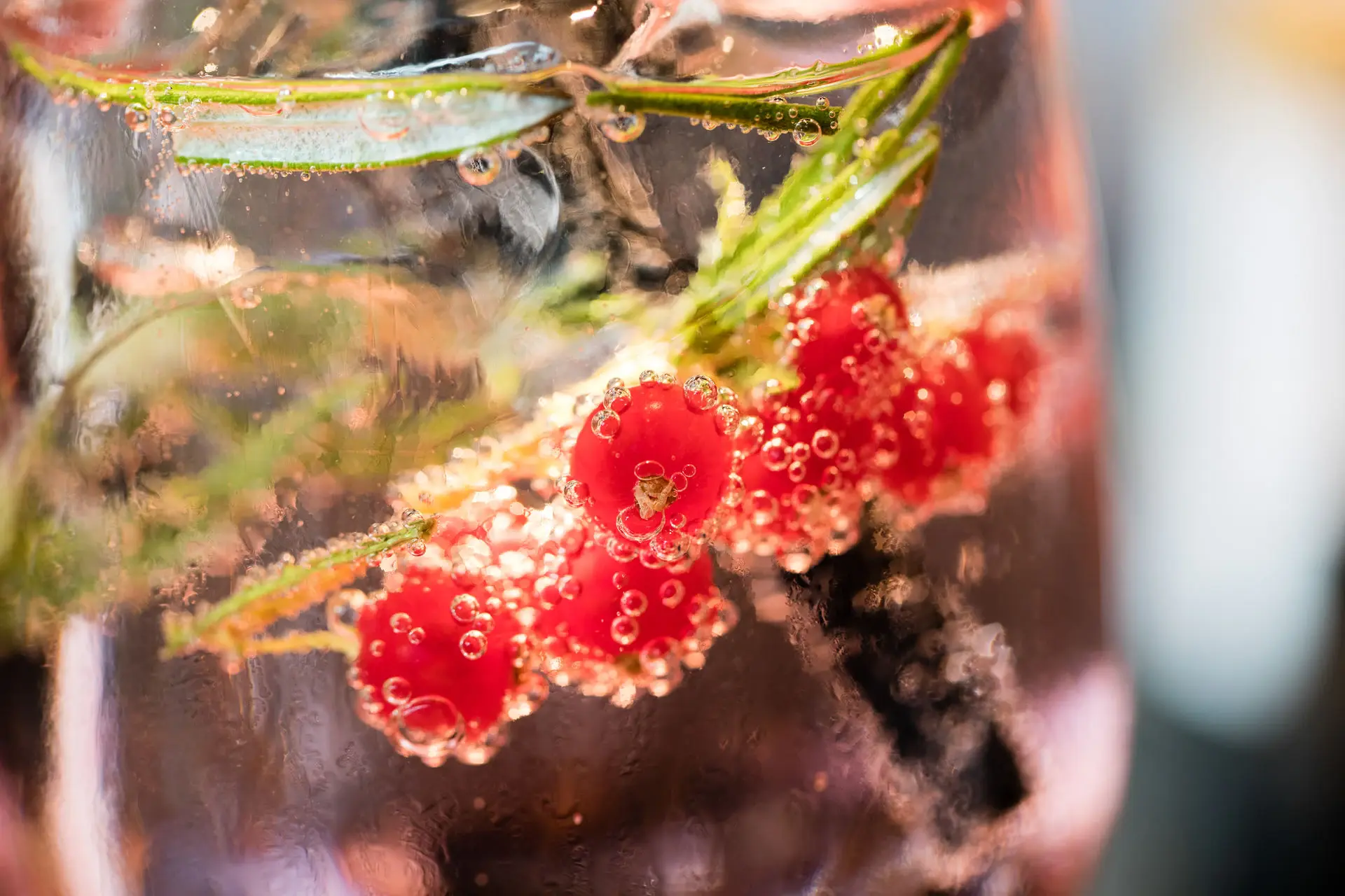 Cocktail Nahaufnahme eines Glases mit Flüssigkeit und Beeren.