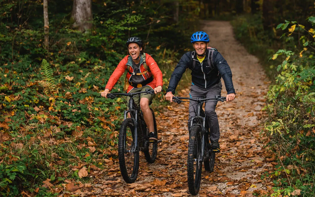 Zwei Personen auf Mountainbikes fahren einen herbstlichen Weg entlang. 