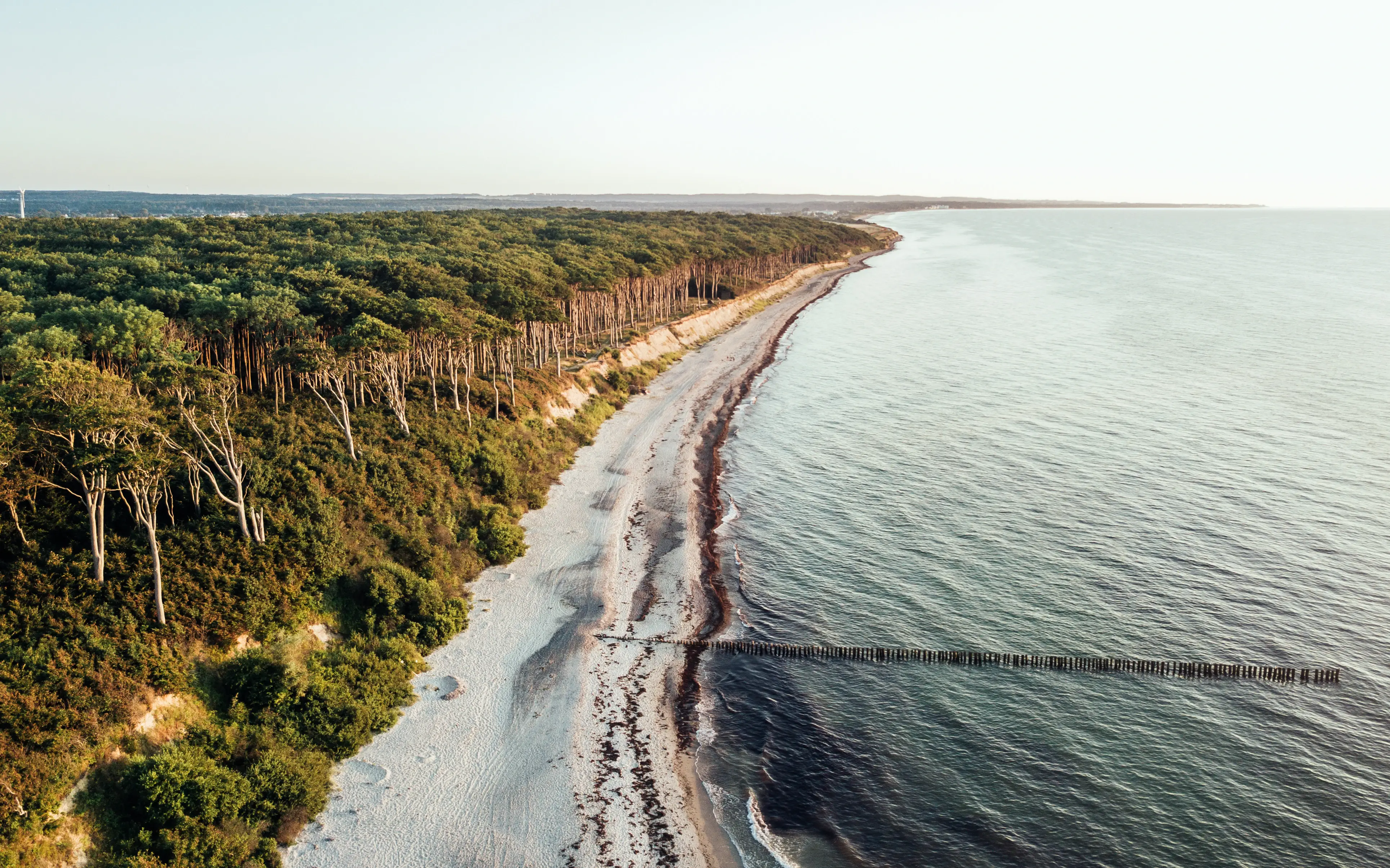 Riprese con il drone della foresta fantasma e della spiaggia di Warnemünde