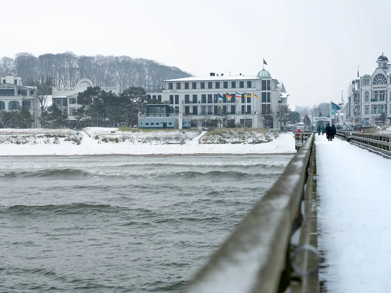 Ein Gewässer mit Gebäuden und Bäumen im Hintergrund.