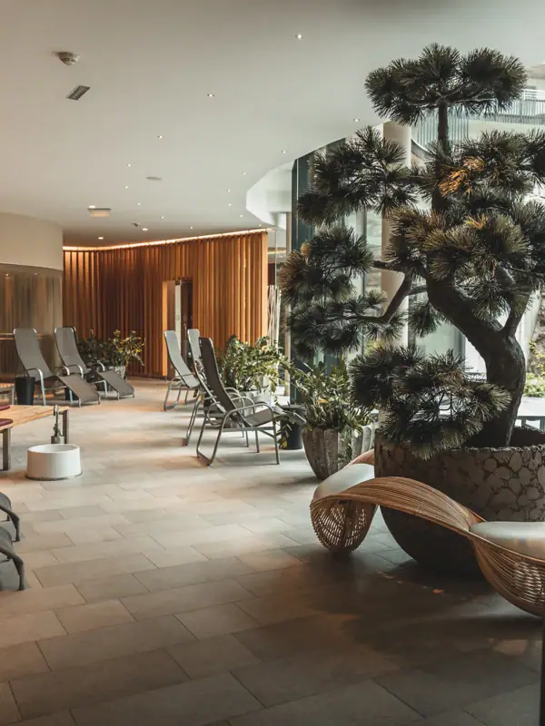SPA Bereich Ein Raum mit einem Baum und Stühlen.