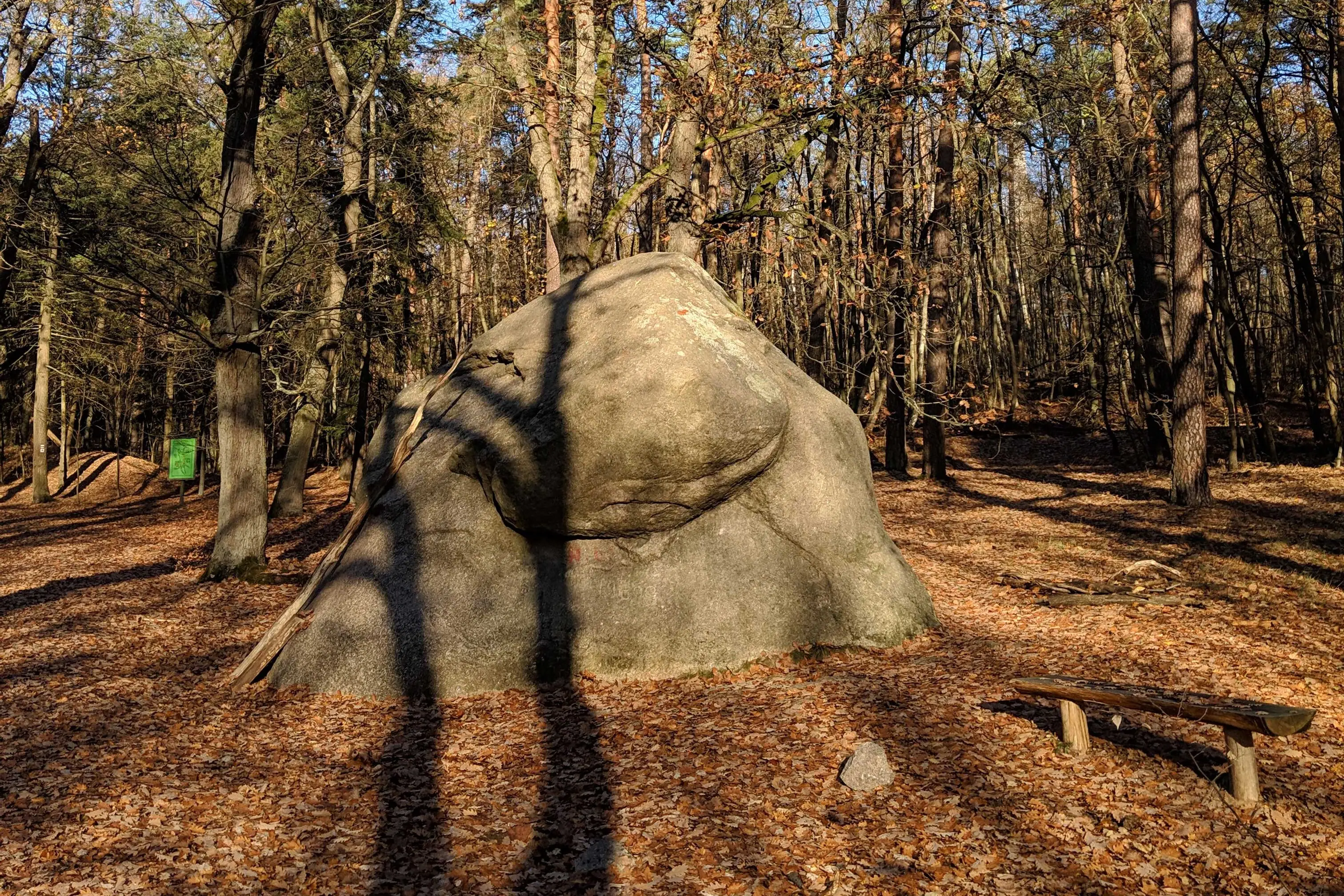 Ein großer Stein in einem Wald.