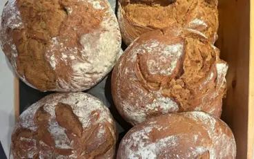 Eine Gruppe von Brotlaiben, darunter Sauerteig und Vollkornbrote.