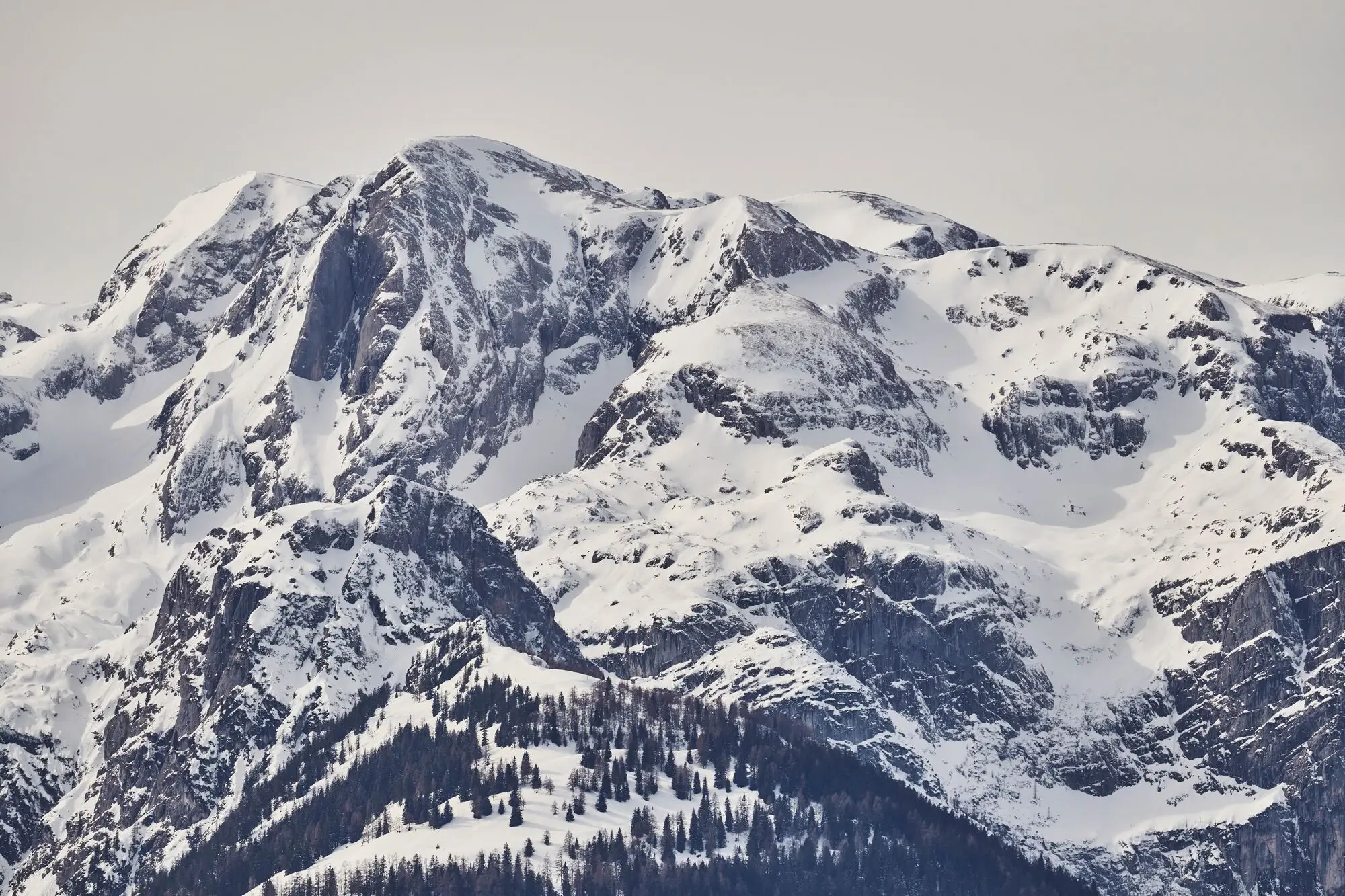 Verschneiter Berg mit Bäumen