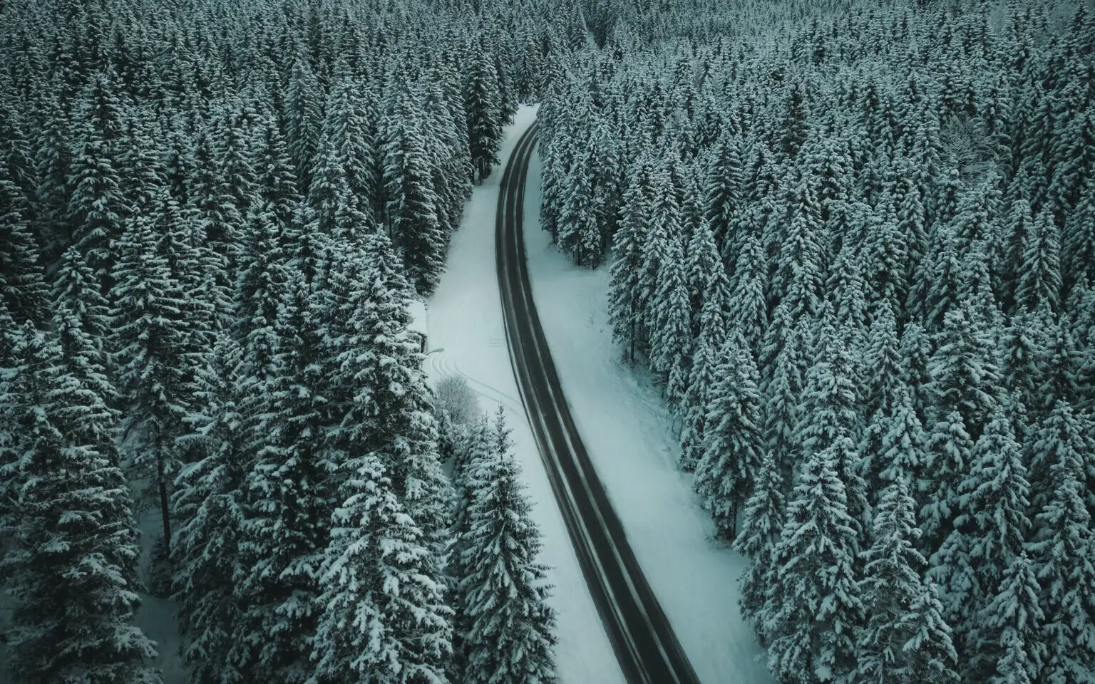 Verschneite Landschaft mit einer Straße und Bäumen.