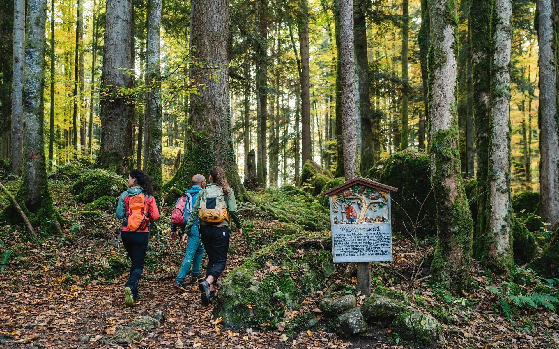 Drei Person spazieren im einen laubbedeckten Wald mit moosbewachsenen Bäumen. Neben ihnen steht ein Schild mit der Aufschrift Märchenwald, welches eine Geschichte erzählt. 