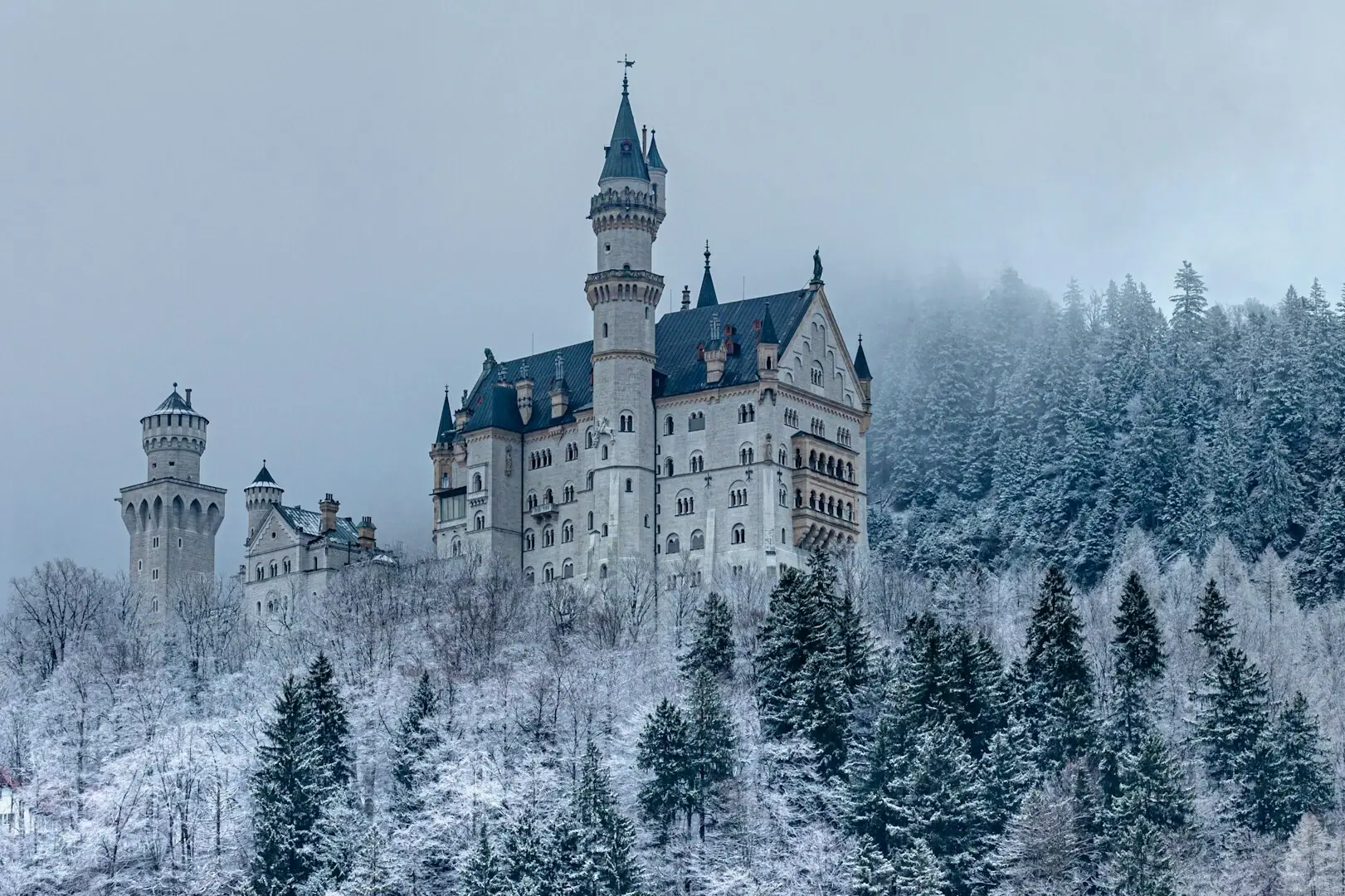 Das Schloss Neuschwanstein auf einem Hügel umgeben von schneebedeckten Bäumen im Winter.