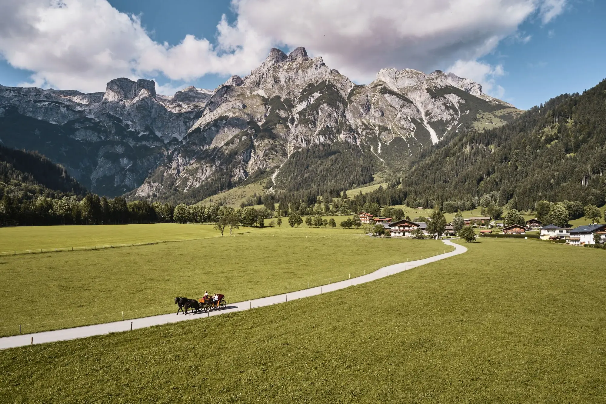 Horse-drawn carriage on a path in a meadow with mountains in the background.