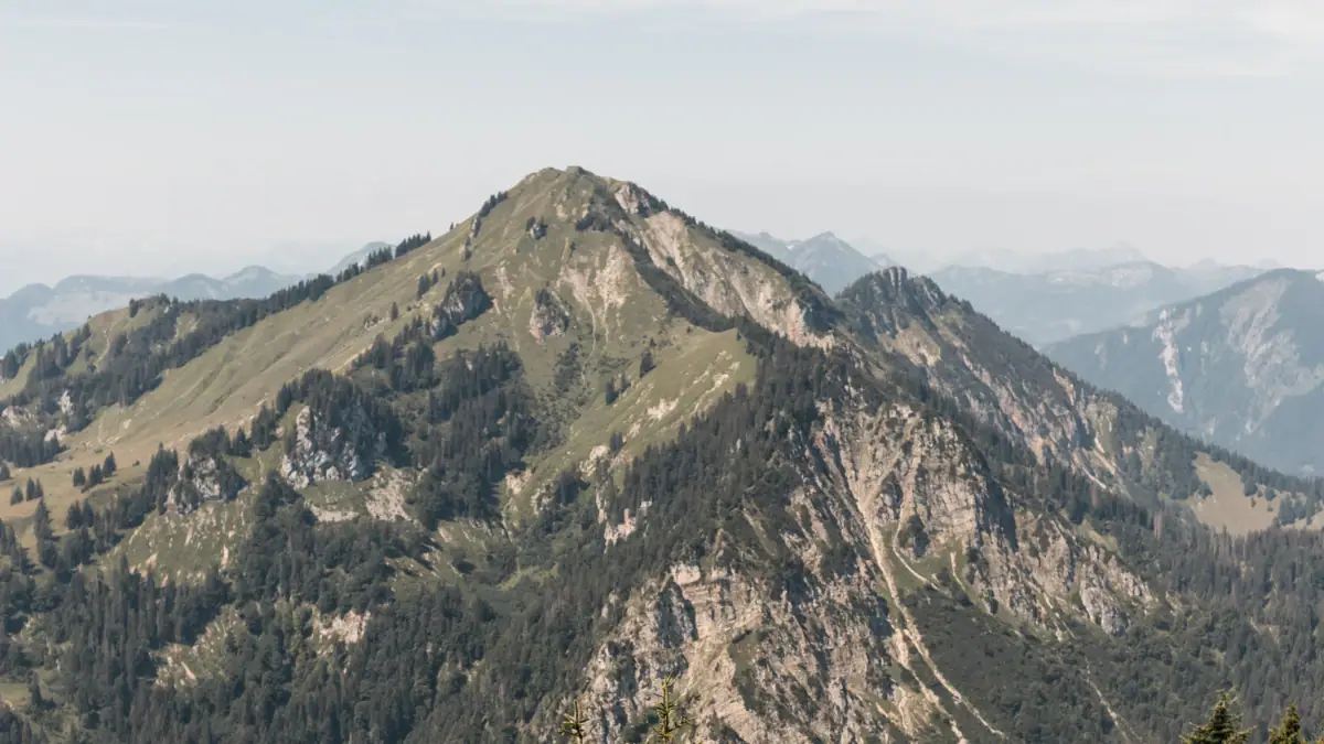 Ein Gebirgszug mit Bäumen und Blumen.