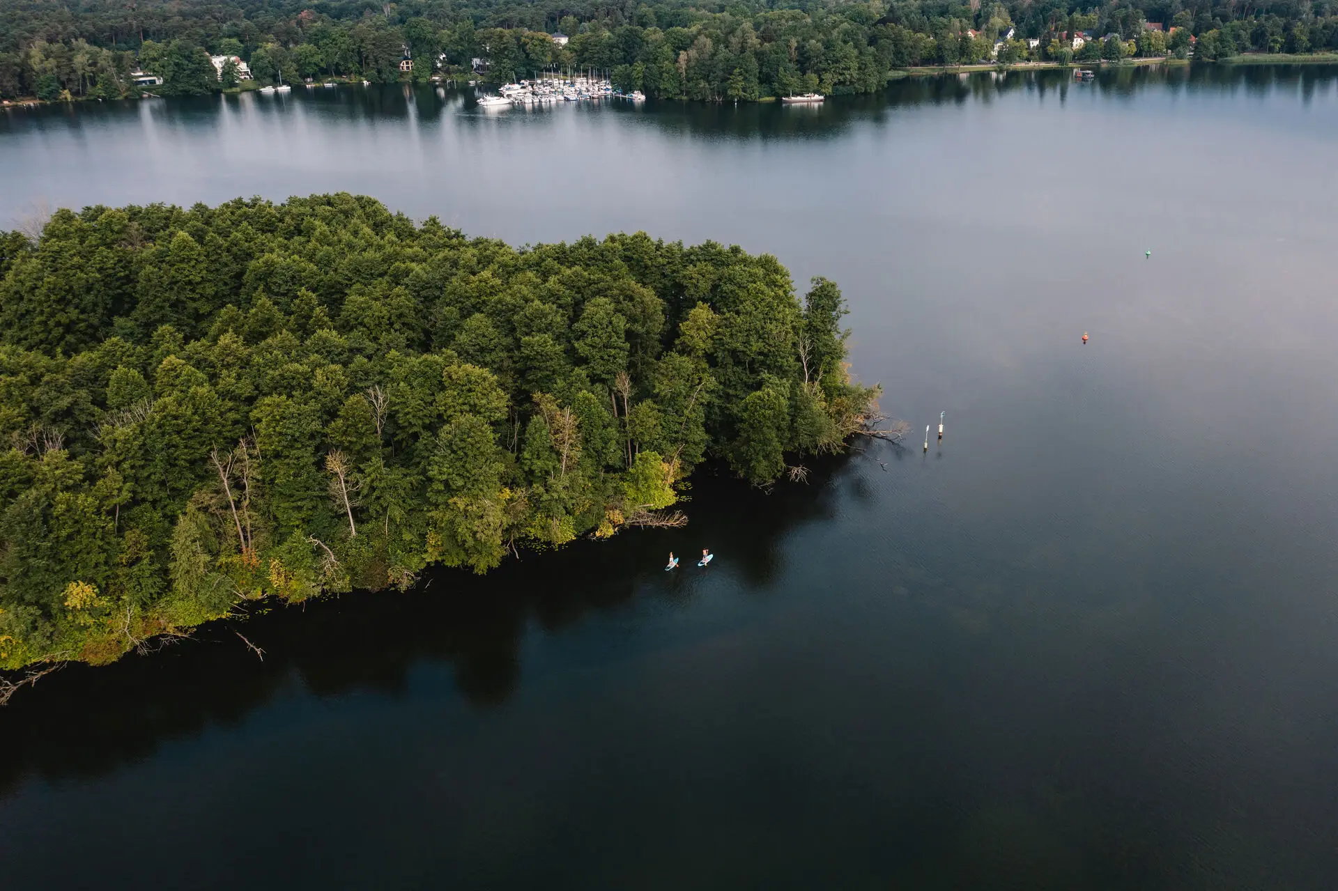 Eine kleine Insel mit vielen Bäumen ragt in einen See