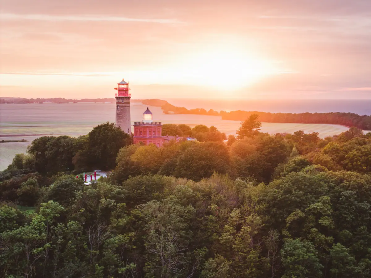 Leuchtturm inmitten eines Waldes