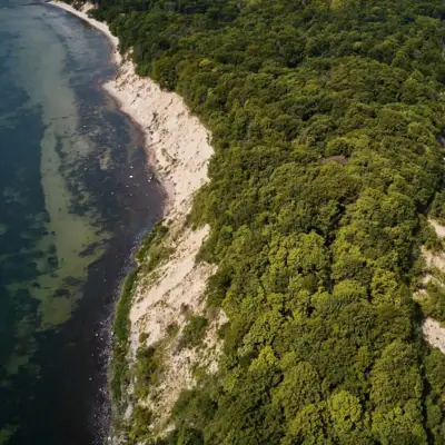 Luftaufnahme eines Strandes mit Bäumen im Vordergrund und Wasser im Hintergrund.