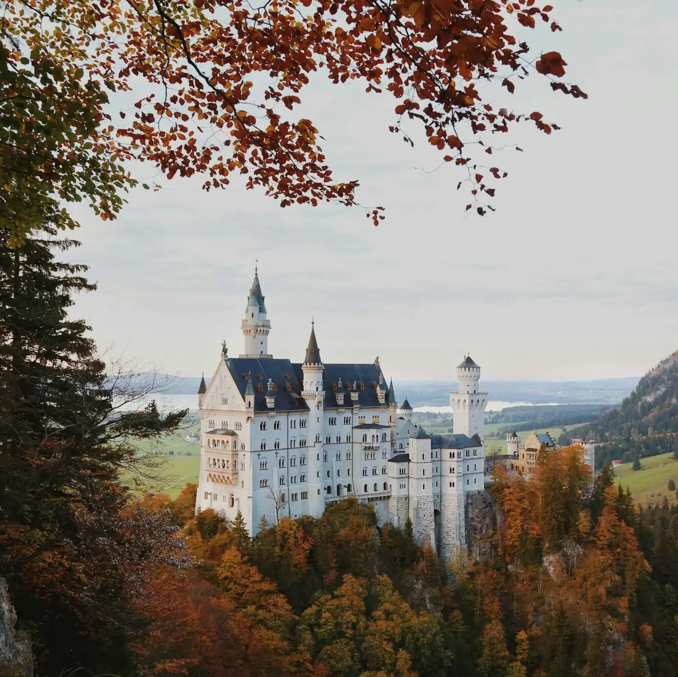 Schloss Neuschwanstein Das Schloss Neuschwanstein auf einem Hügel mit Bäumen und Bergen im Hintergrund.