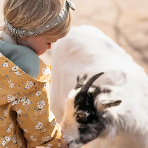 Streichelzoo Ein Kind streichelt eine Ziege.