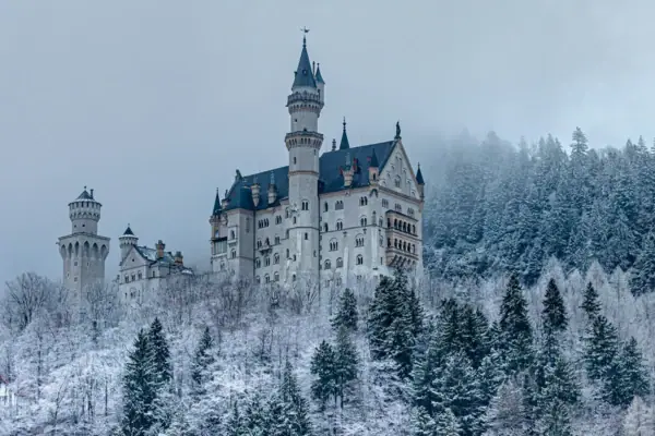 Das Schloss Neuschwanstein auf einem Hügel umgeben von schneebedeckten Bäumen im Winter.