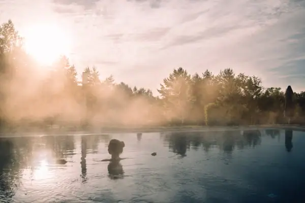 Eine Person im Wasser, umgeben von Bäumen.