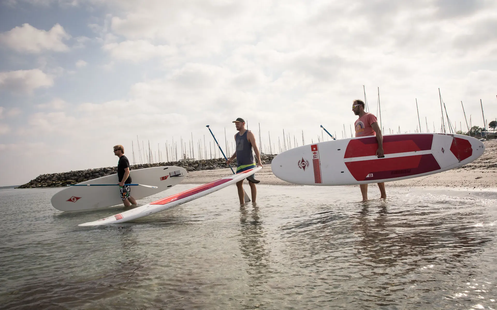 Drei Männer stehen mit ihren Stand Up paddling Boards im flachen Wasser der Ostsee. 