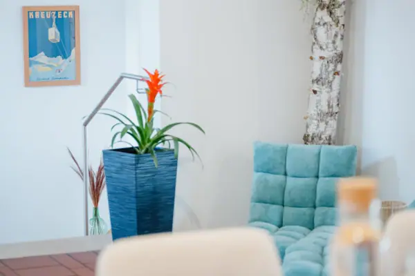 Blaues Sofa mit einer Pflanze in einem blauen Topf.