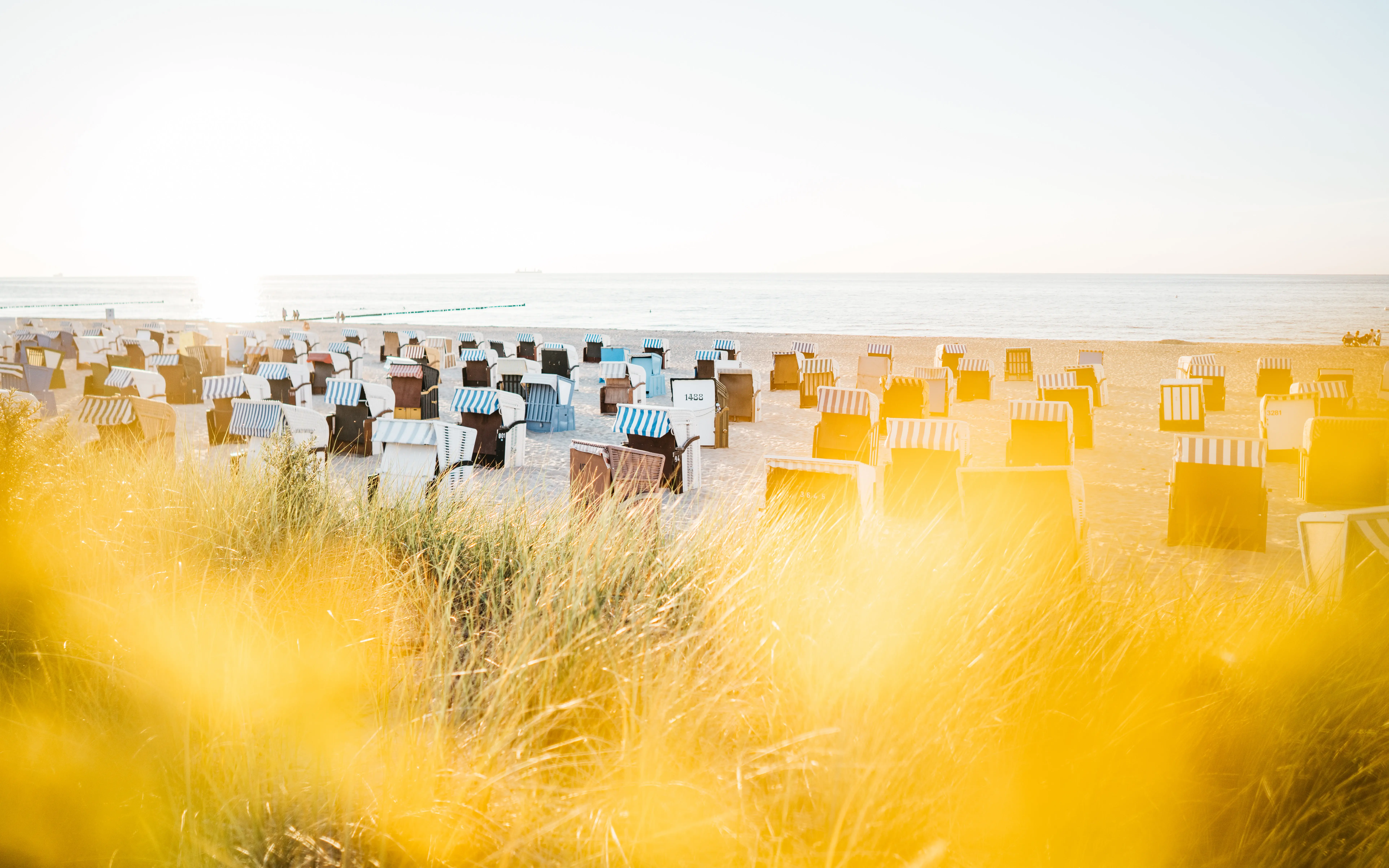 Spiaggia con canne e sedie a sdraio